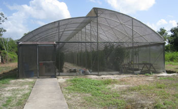 Protected Cultivation